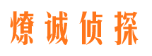 霞山调查事务所